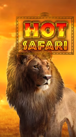 Hot Safari