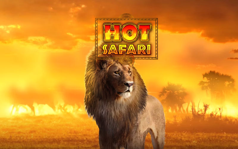 Hot Safari